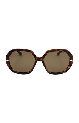 Polaroid - Lunettes de soleil - Catégorie 3 - Marron
