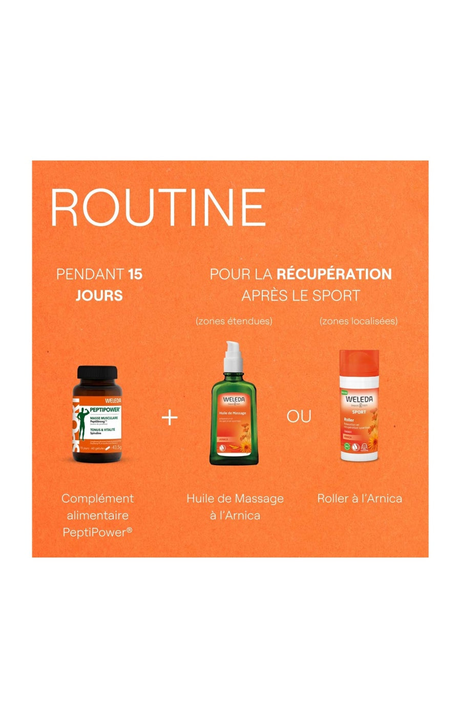 Cure masse musculaire - PeptiPower® - 15 jours