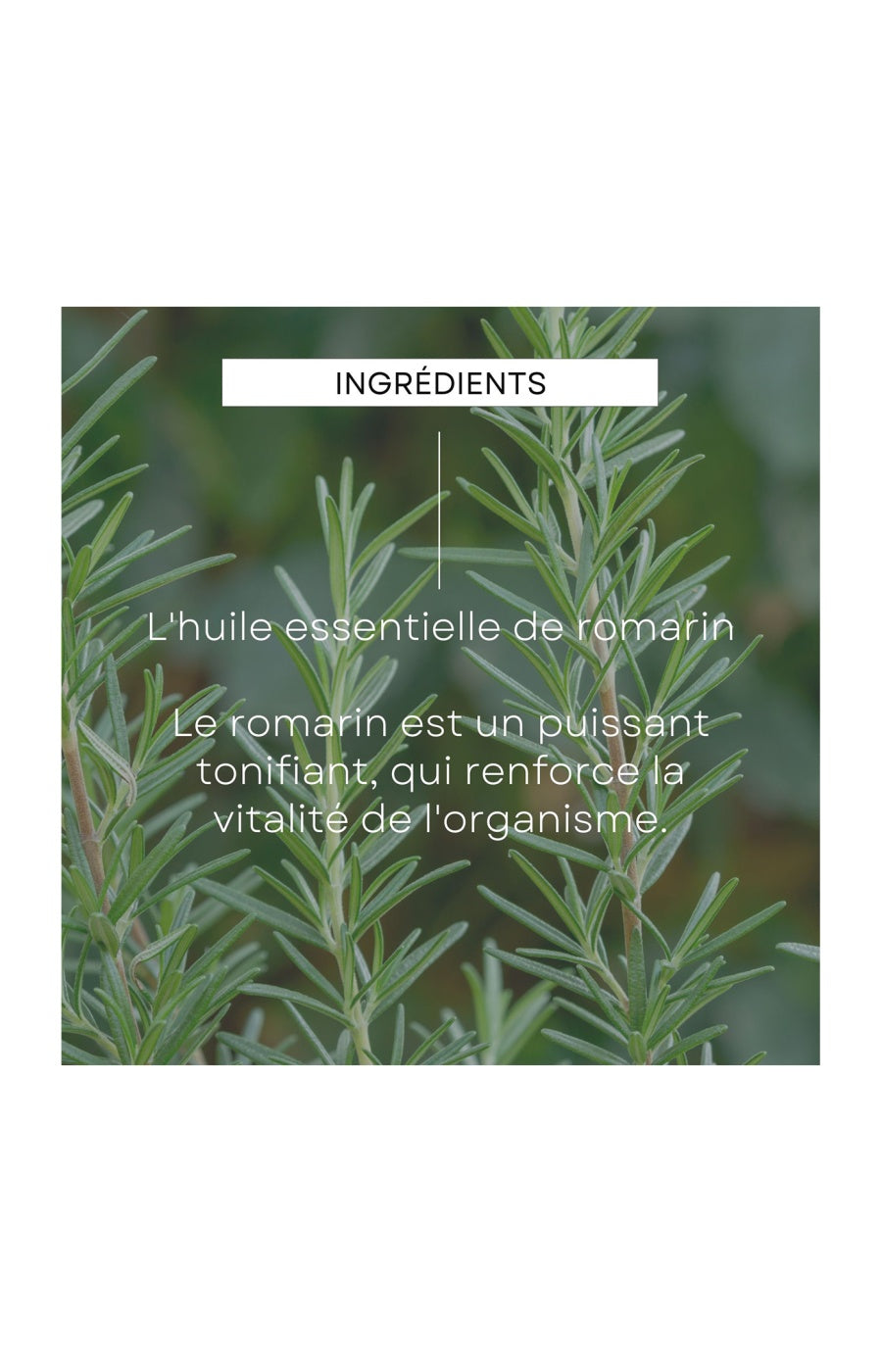 Lotions tonifiantes bio - Cheveux - 2 x 100 ml