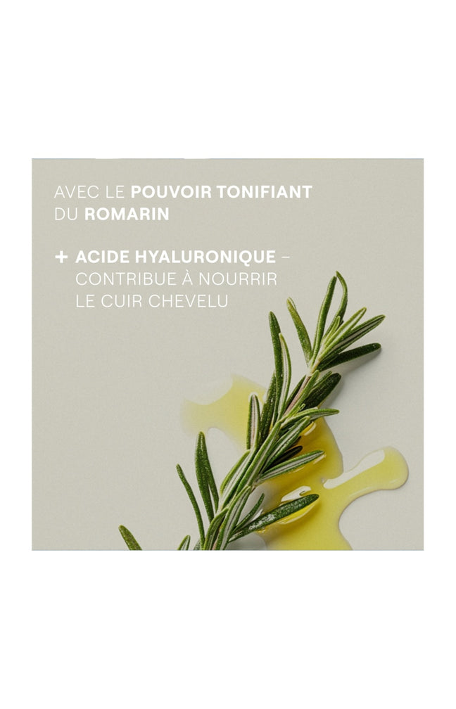Shampoing revitalisant - Romarin - 250 ml