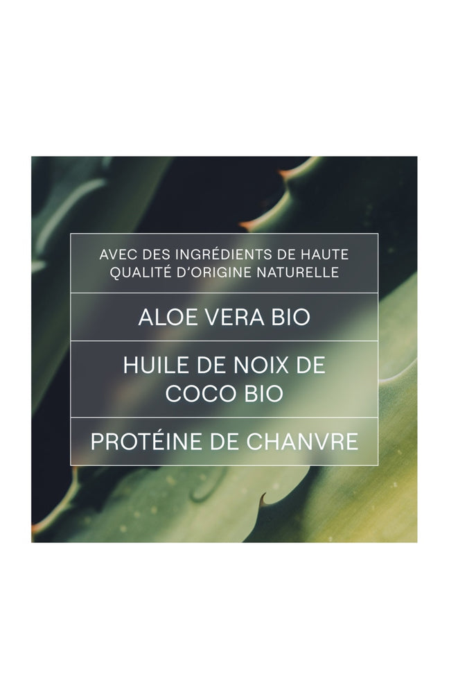 Shampoing solide hydratant bio - Aloe vera & coco - Cheveux secs - 50 g