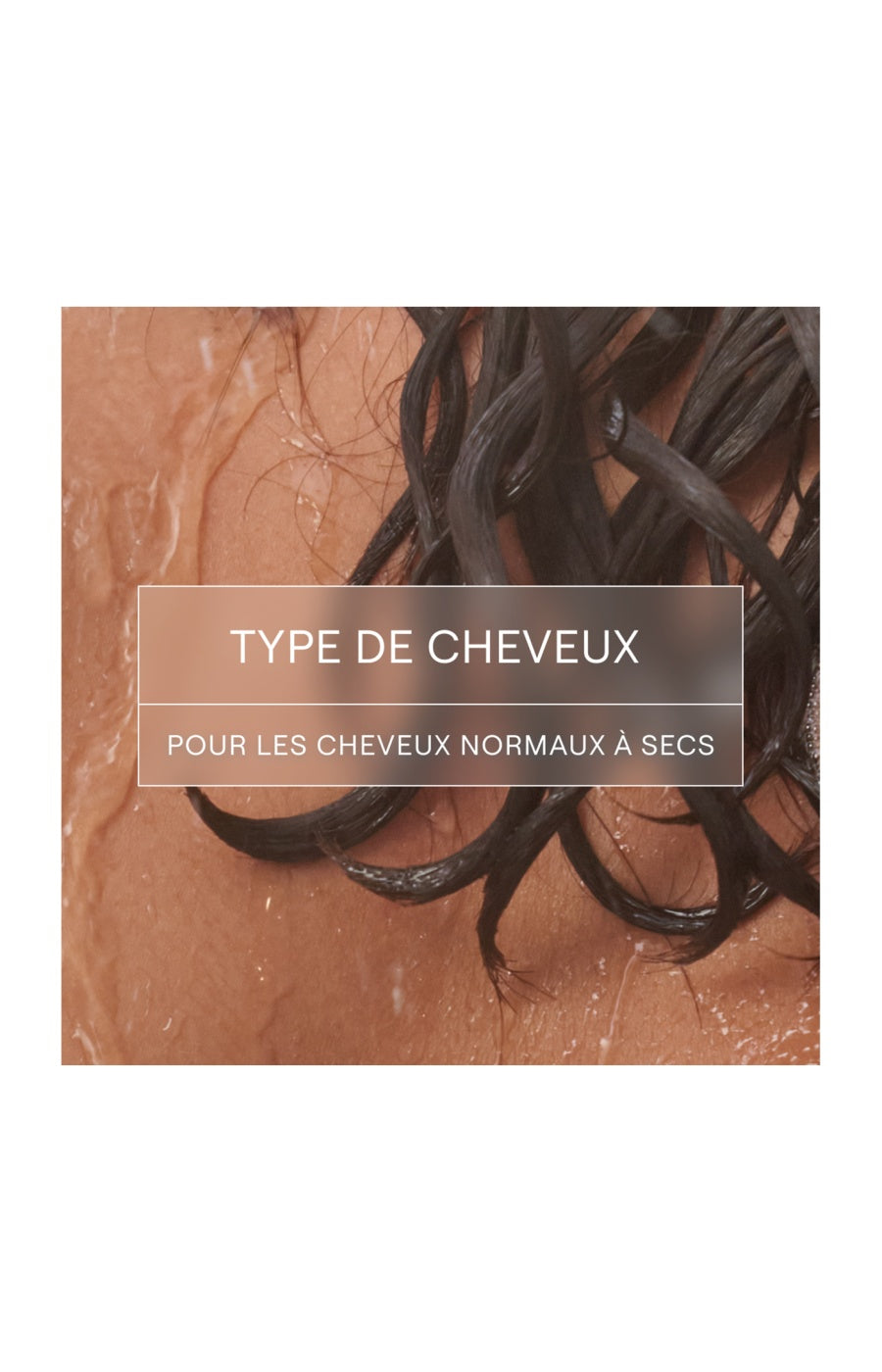 Shampoing solide hydratant bio - Aloe vera & coco - Cheveux secs - 50 g