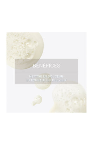 Shampoing solide hydratant bio - Aloe vera & coco - Cheveux secs - 50 g