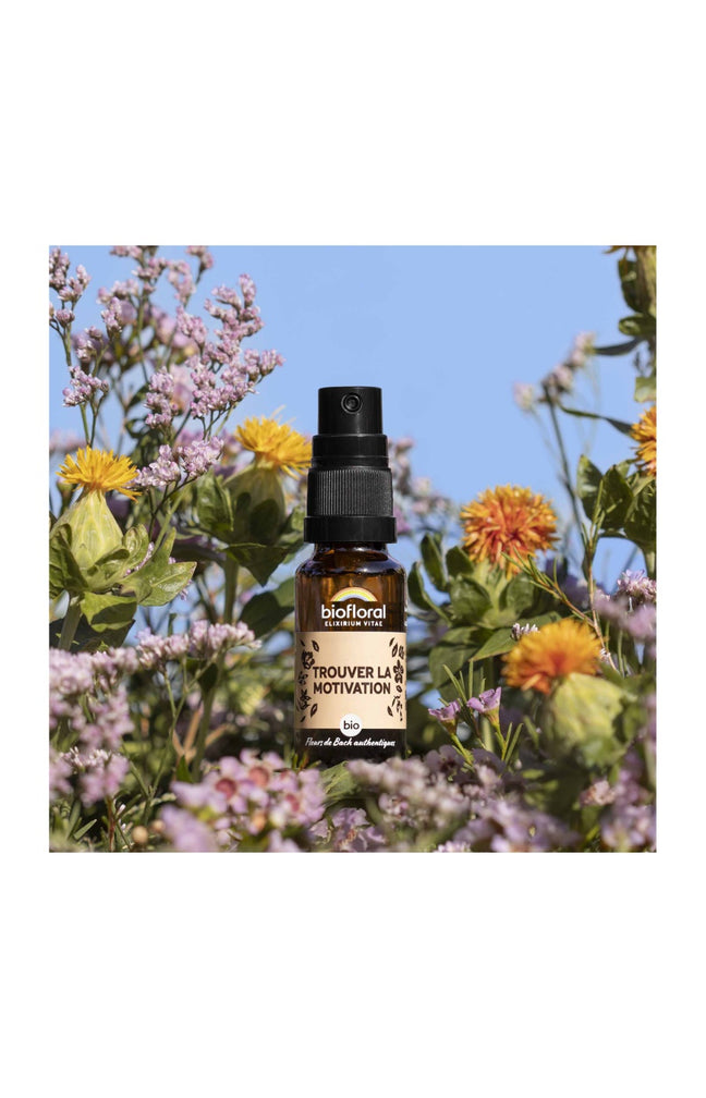 Spray bio - Trouver la motivation - 20 ml