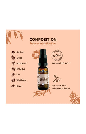 Spray bio - Trouver la motivation - 20 ml