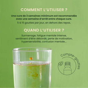 Sirop surcharge mentale bio - Energem - 30 ml