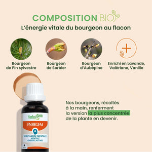Sirop surcharge mentale bio - Energem - 30 ml