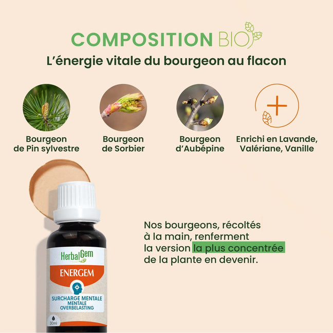 Sirop surcharge mentale bio - Energem - 30 ml