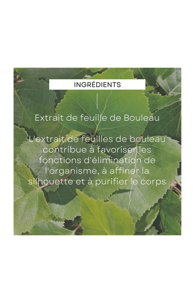 Huile de massage minceur - Bouleau - 100 ml