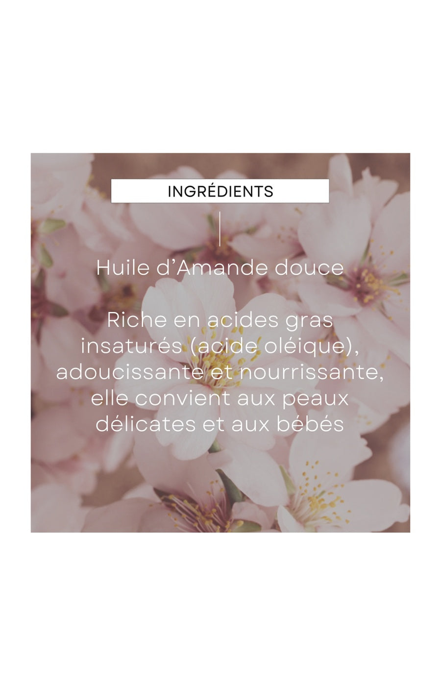 Huile de massage pour allaitement - Fenouil & cumin - 50 ml