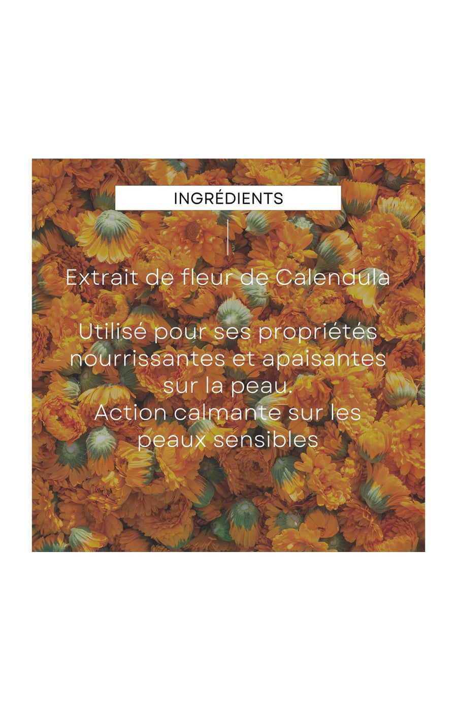 Liniment bio - Calendula - Bébé - 2 x 400 ml