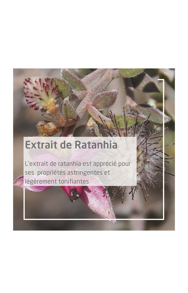 Dentifrice - Ratanhia - 75 ml
