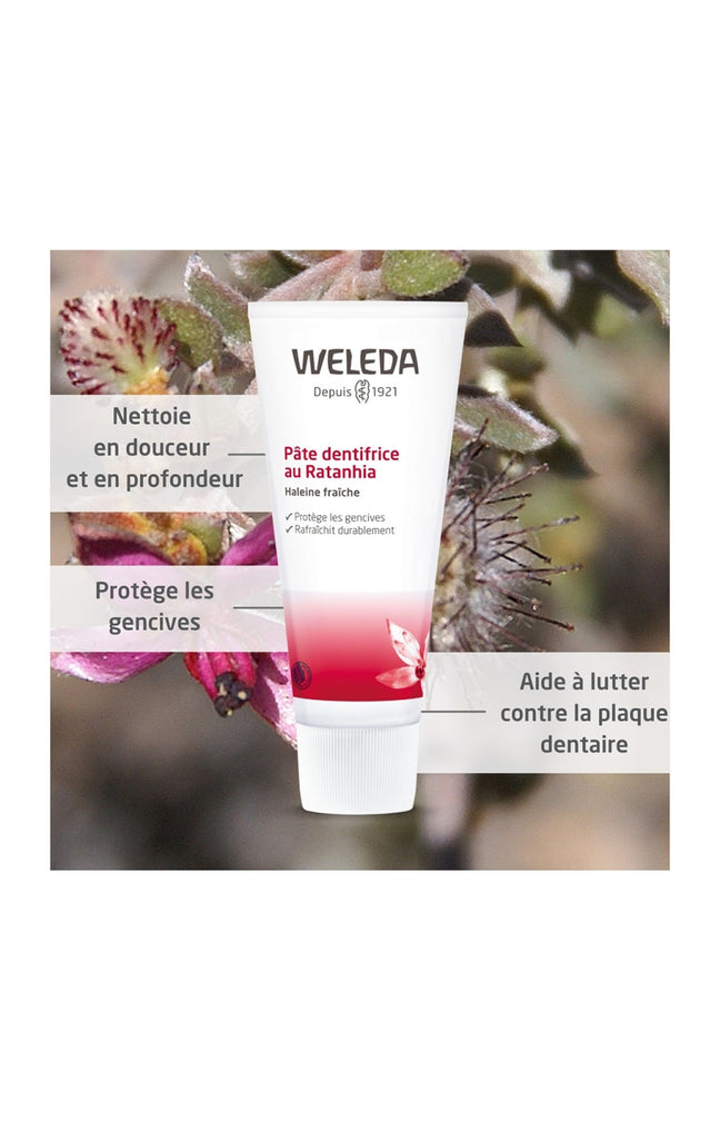 Dentifrice - Ratanhia - 75 ml