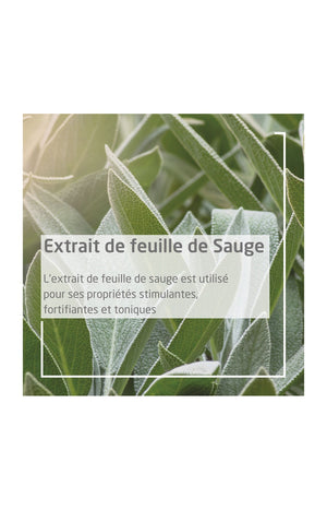 Gel gingival - Sauge - Gencives sensibles - 30 ml