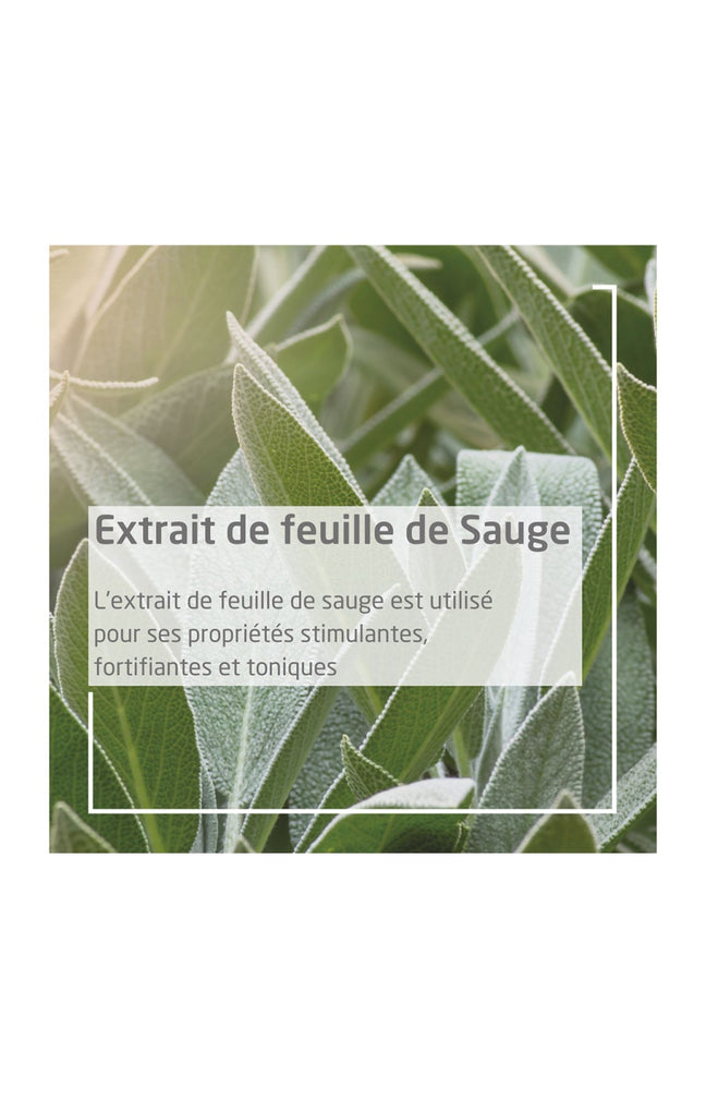 Gel gingival - Sauge - Gencives sensibles - 30 ml