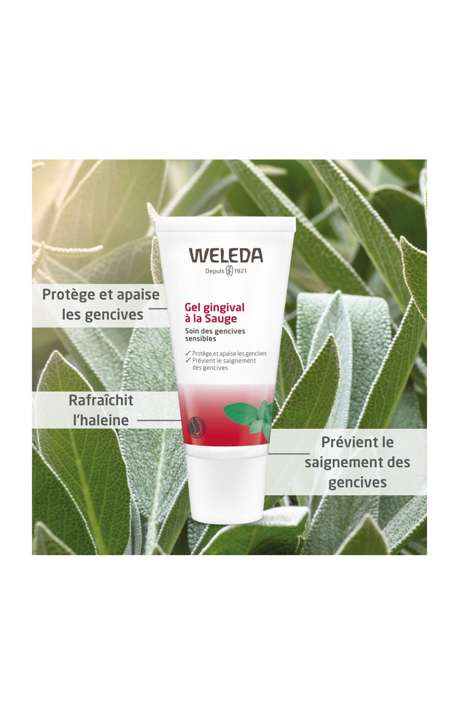 Gel gingival - Sauge - Gencives sensibles - 30 ml