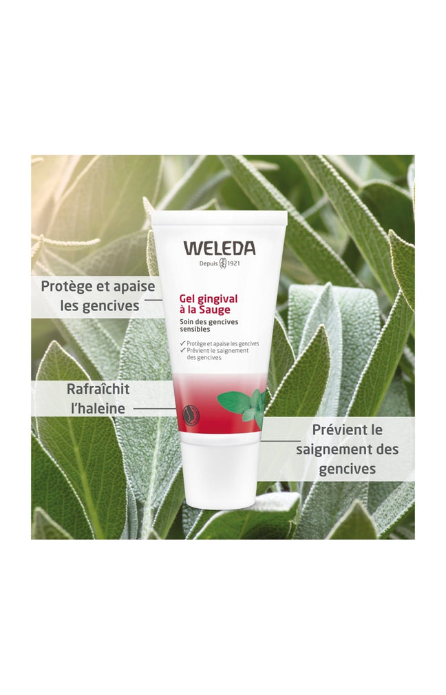 Gel gingival - Sauge - Gencives sensibles - 30 ml