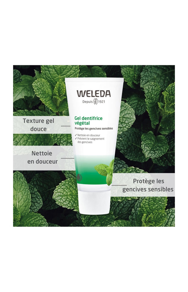 Dentifrice végétal - Menthe verte - 75 ml