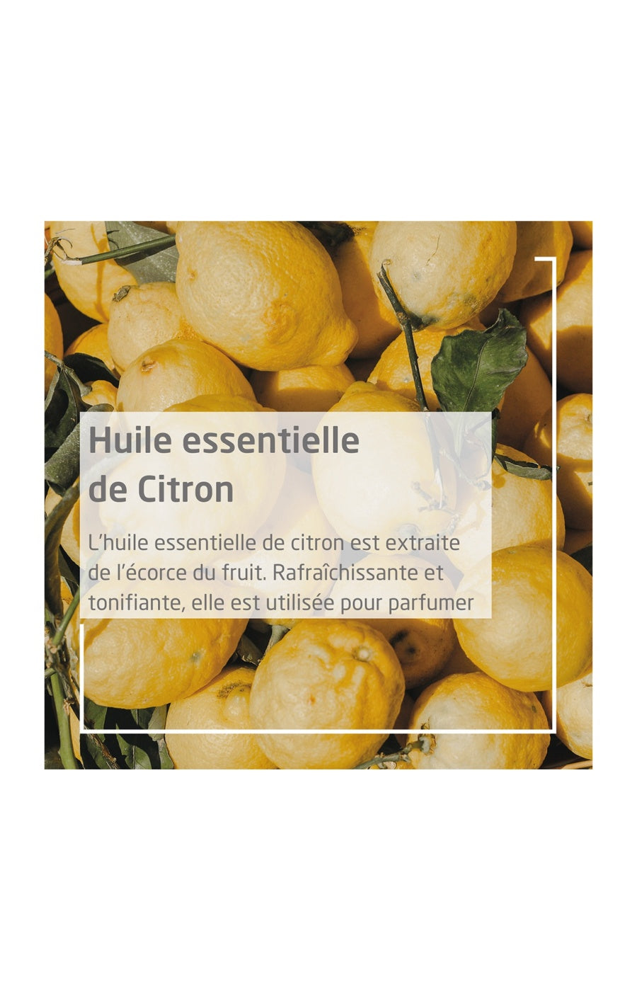 Huile vivifiante - Citrus - Peaux sèches - 100 ml