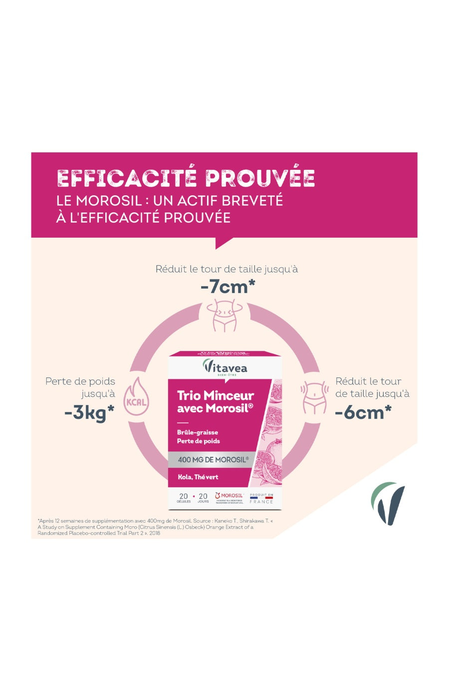 Cure minceur & brûle graisse - Morosil & thé vert - 20 jours