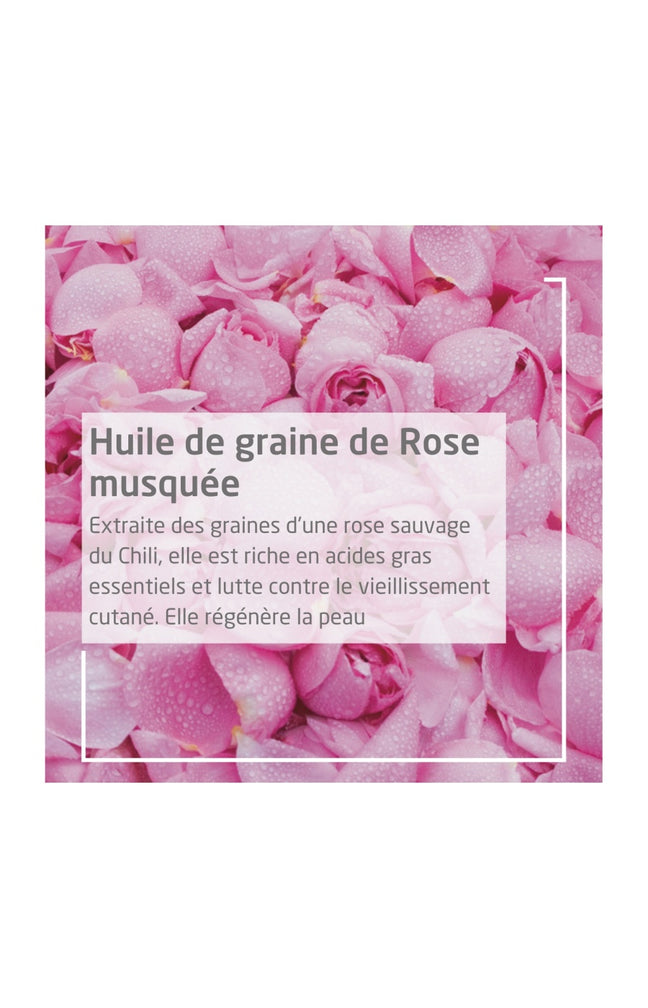 Huile harmonisante & lissante - Rose musquée - Corps - 100 ml