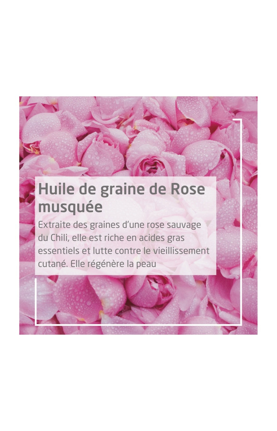 Déodorant en spray - Rose - 100 ml