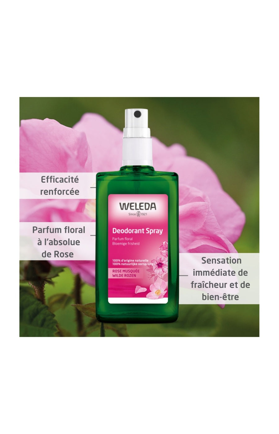 Déodorant en spray - Rose - 100 ml