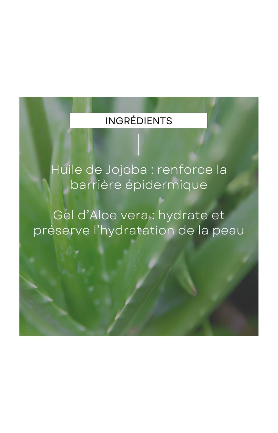 Baume après-rasage - Homme - 100 ml
