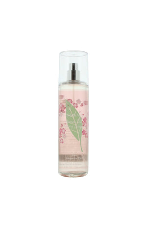 Green Tea Cherry Blossom Eau de parfum - Floral fruité - 236 ml