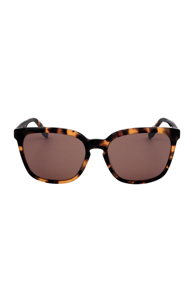 Adidas - Lunettes de soleil - Catégorie 3 - Marron