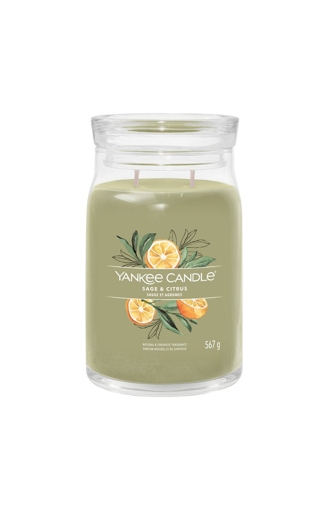 Bougie signature jarre - Sauge & agrumes - Grand modèle - 567 g
