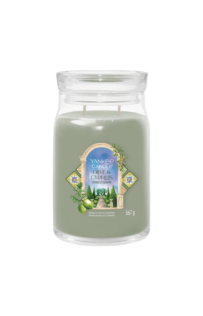 Bougie signature jarre - Cyprès & oliviers - Grand modèle - 567 g