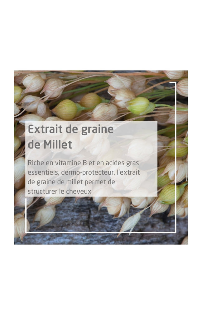 Shampooing extra-doux - Millet -  Tous types de cheveux - 190 ml
