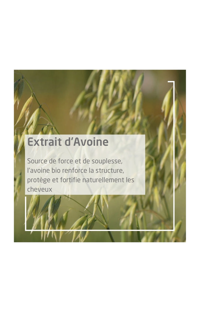 Après-shampooing régénérant - Avoine - Cheveux secs & abîmés - 200 ml