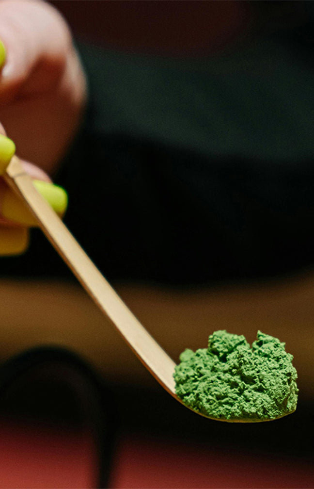 Cuillère dose à matcha - Chashaku