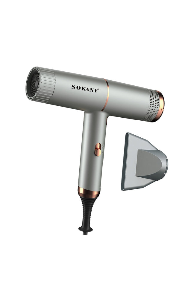 Sèche-cheveux professionnel - 1600 W