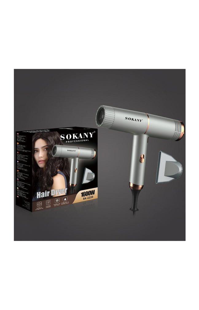 Sèche-cheveux professionnel - 1600 W
