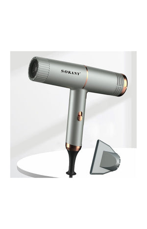 Sèche-cheveux professionnel - 1600 W