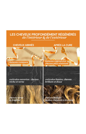 Cure régénérante complète - 3 x 200 ml - 3 produits
