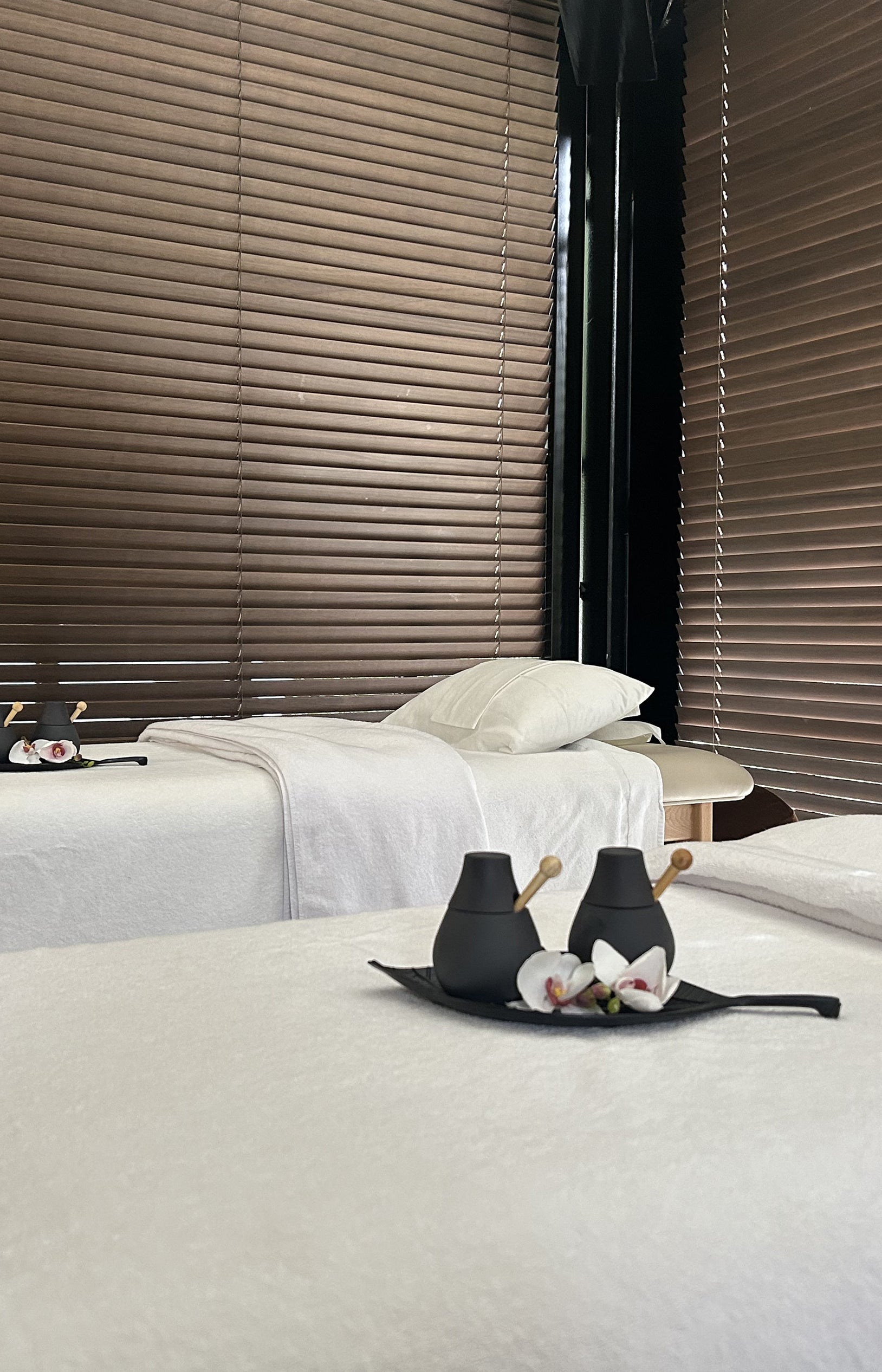 Massages Dos et Pieds 40 min & Accès SPA - LUNDI AU VENDREDI