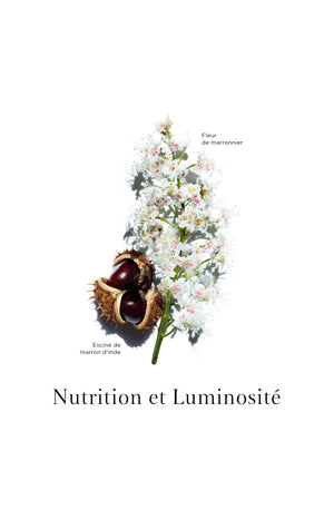 Emulsion anti-âge - Nutri-Lumière - 50 ml