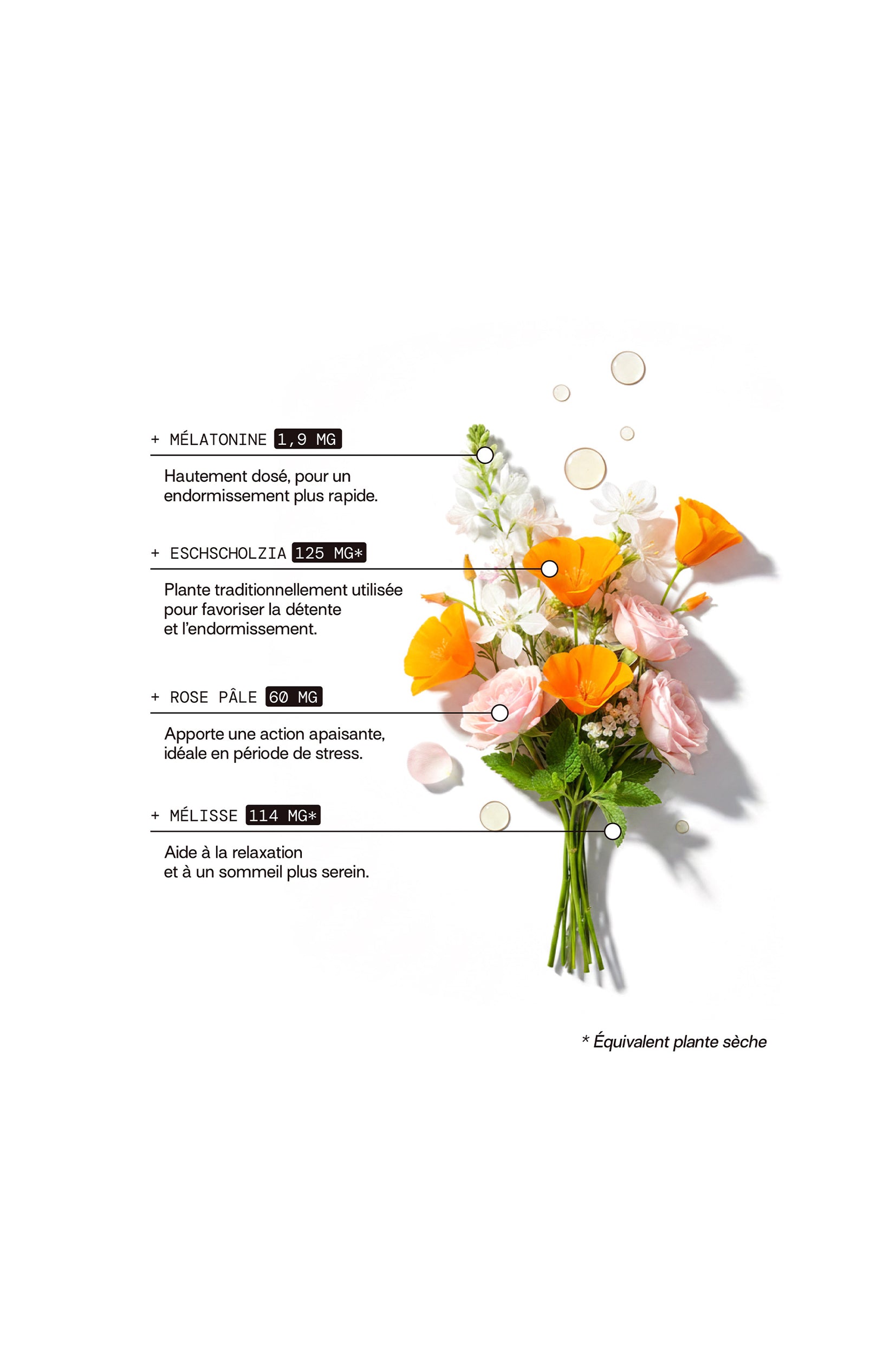 Gummies sommeil - Mûre & myrtille - Sans sucres - 21 jours
