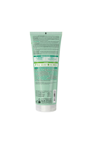 Shampoing anti-pelliculaire - Thé vert bio - 250 ml