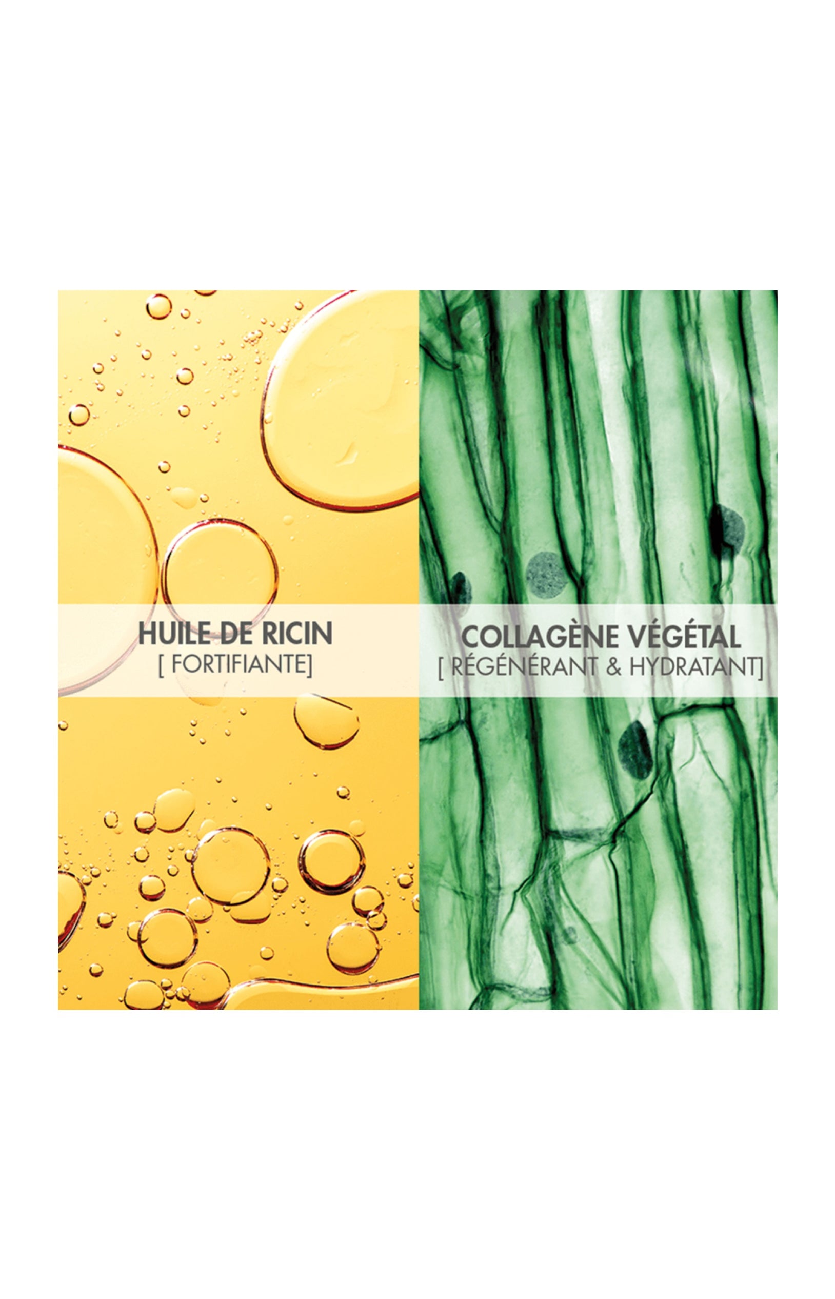 Shampoing réparateur - Ricin & collagène - 250 ml