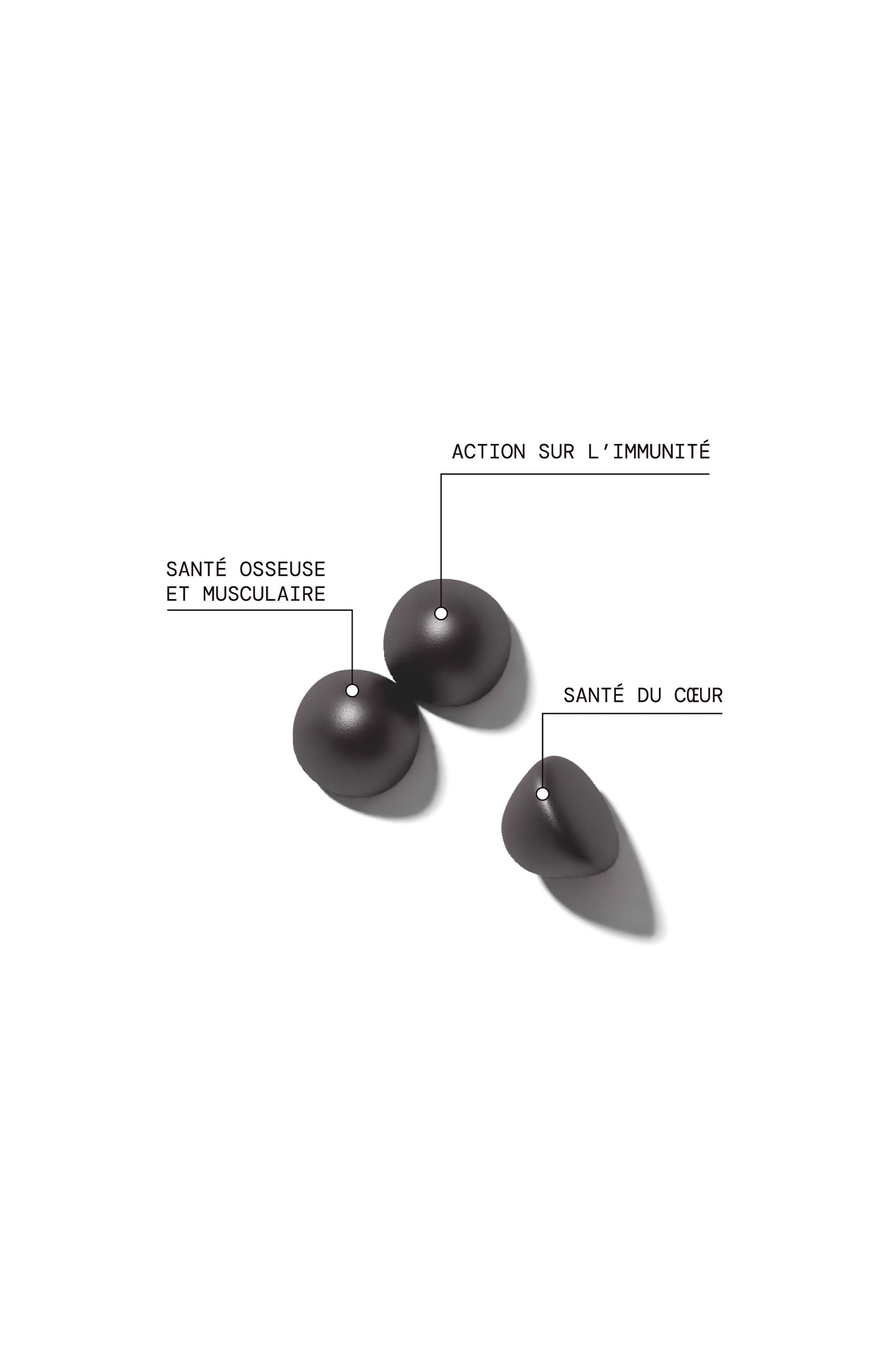 Gummies fer - Fatigue & immunité - Fruits rouges & yuzu - Sans sucres - 21 jours