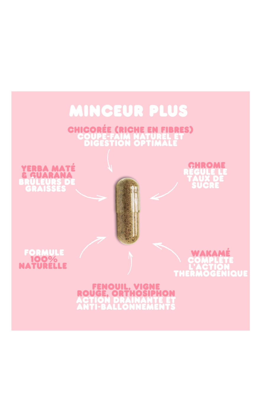 Cure perte de poids & satiété - Minceur Plus - 1 mois