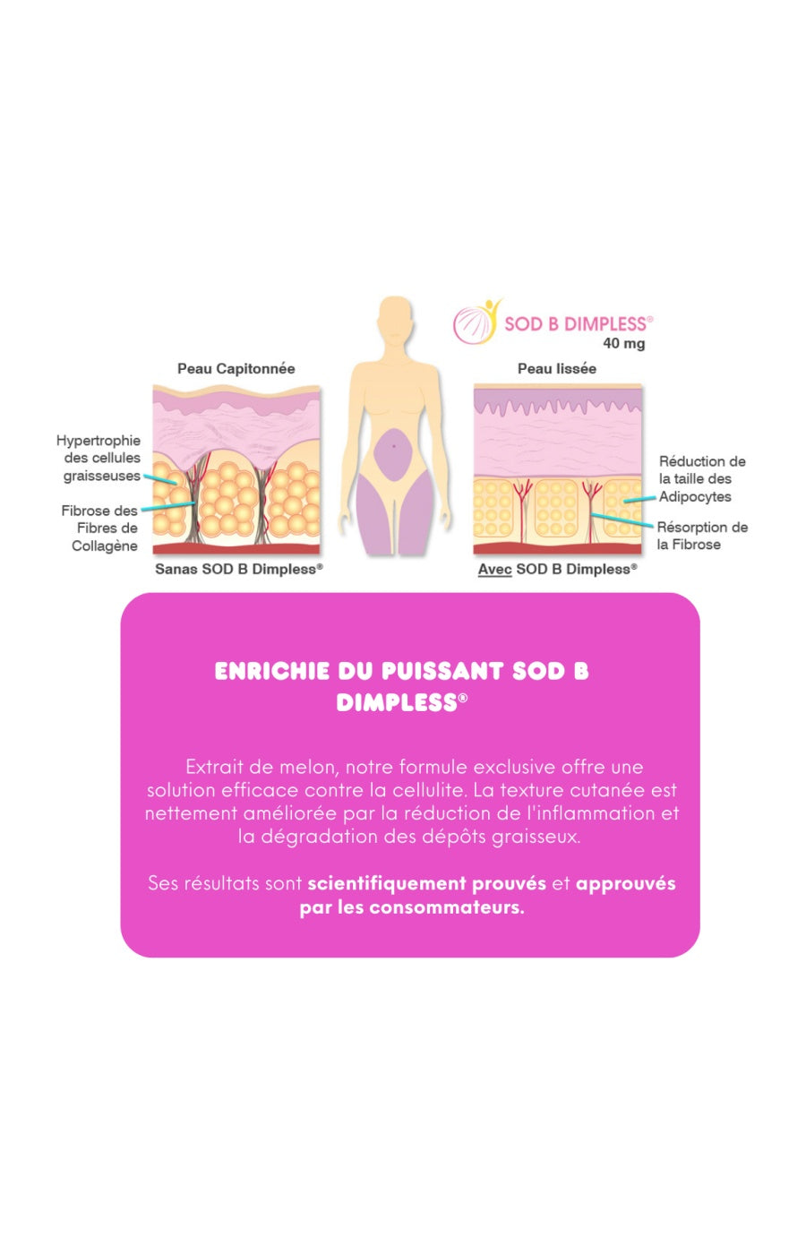 Poudre collagène marin - La Merveille - 1 mois