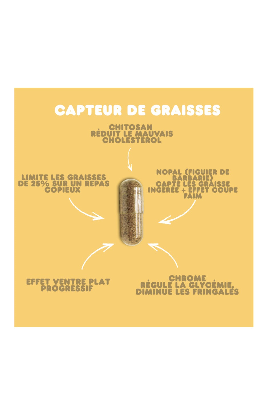 Cure capteur de graisse - Chitosan & poudre de nopal - 1 mois