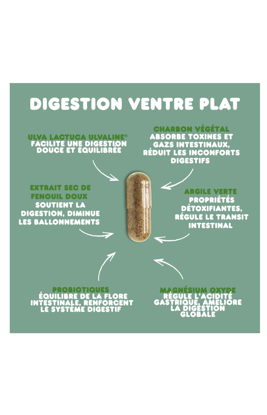 Cure digestion & ventre plat - Probiotiques - 15 jours