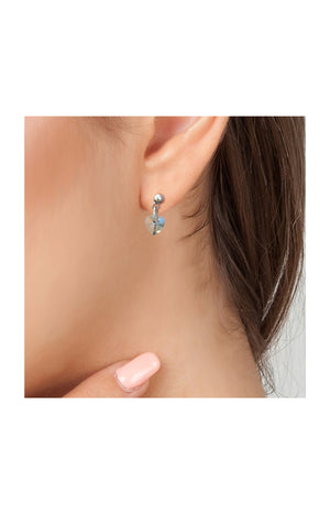 Boucles d'oreilles - Cristaux & acier inoxydable